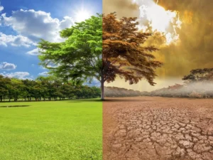 cambio climático | climate change | changement climatique