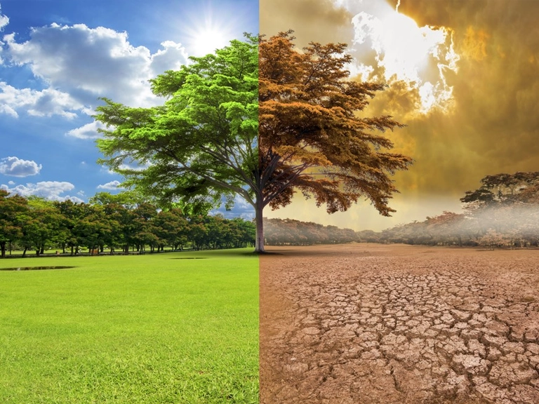 cambio climático | climate change | changement climatique